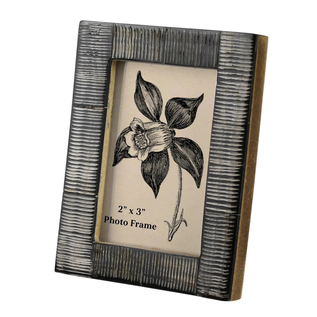 Horn Picture Frame- 2
