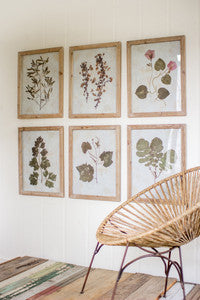 Botanical Framed Art- 6 Styles