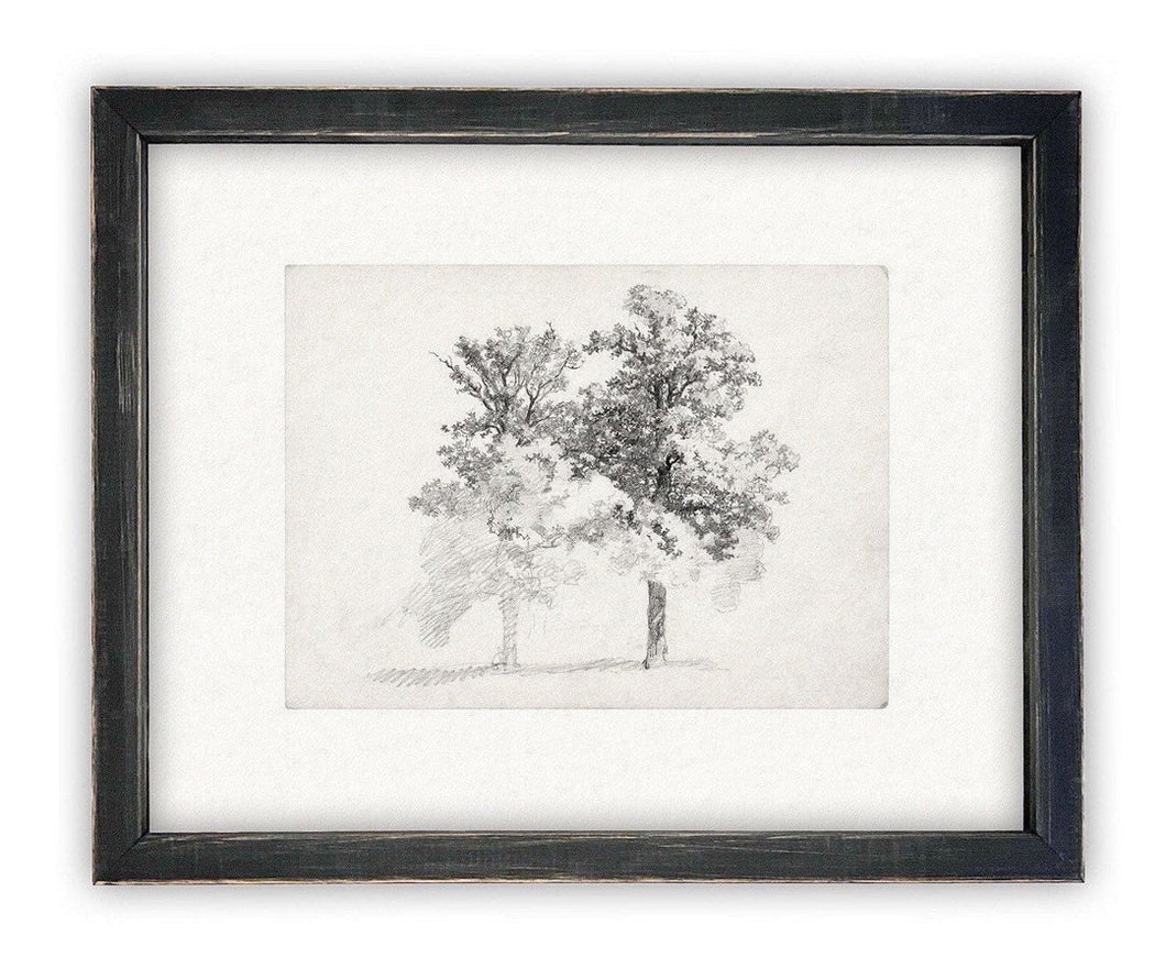 Vintage Framed Tree Sketch-Actual frame is black