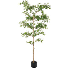 Load image into Gallery viewer, Shady Lady 7&#39; Tree

