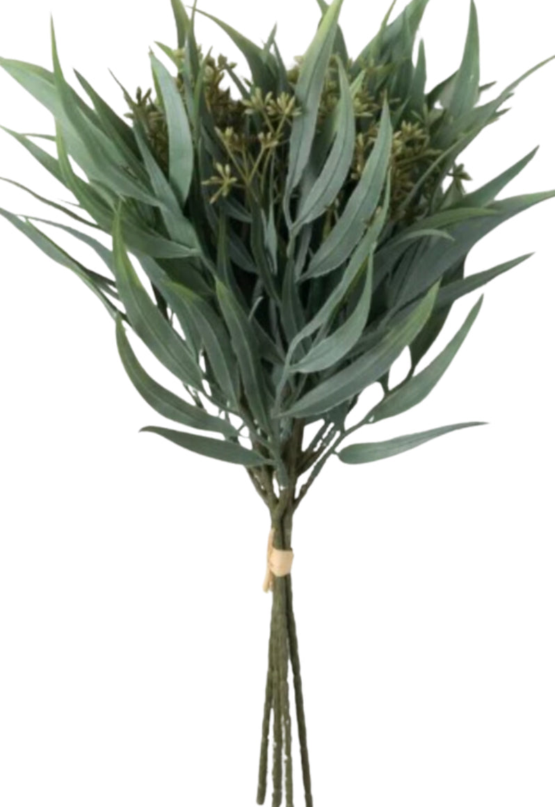Seeded Eucalyptus Bush