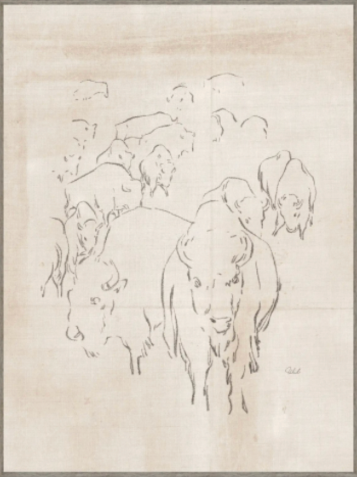 Herd of Buffalo