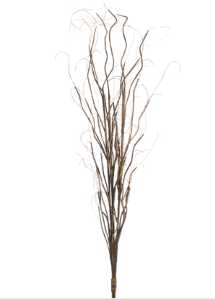 Curly Willow Spray