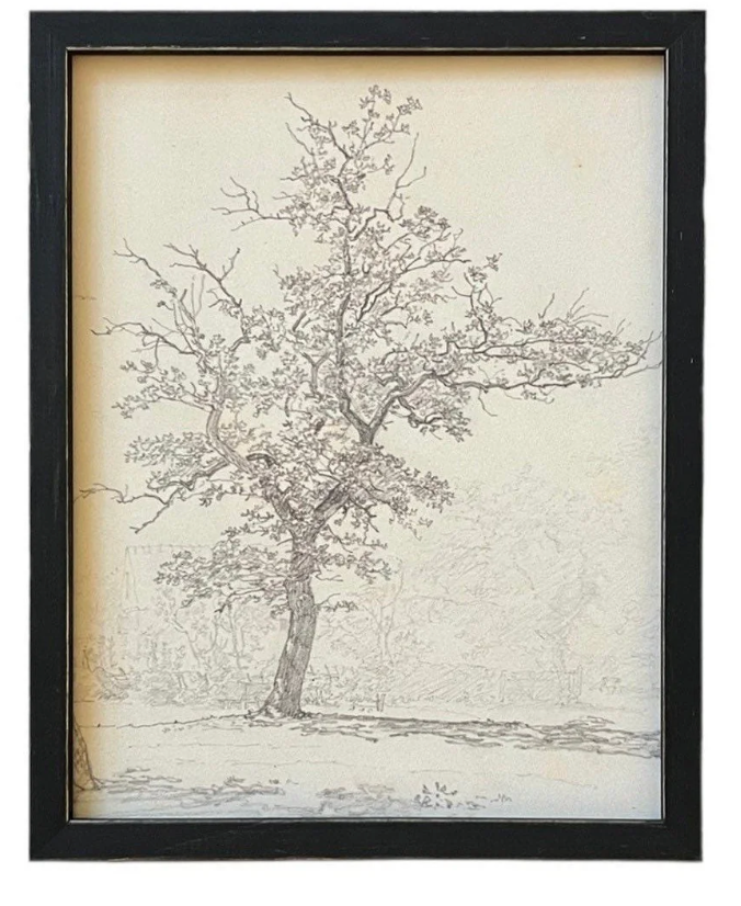 Curved Tree