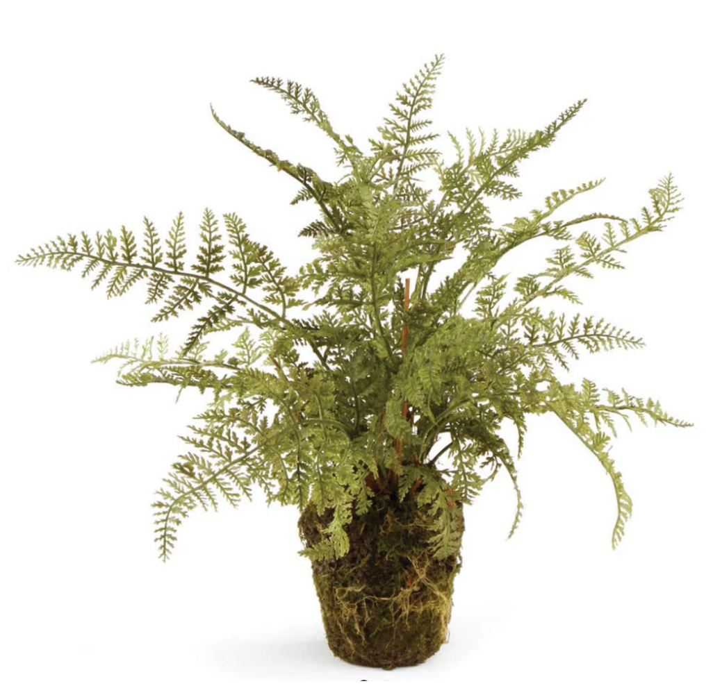 Artificial Fern