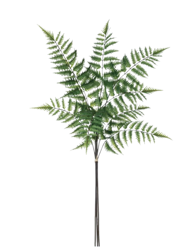 Fern Spray Bundle