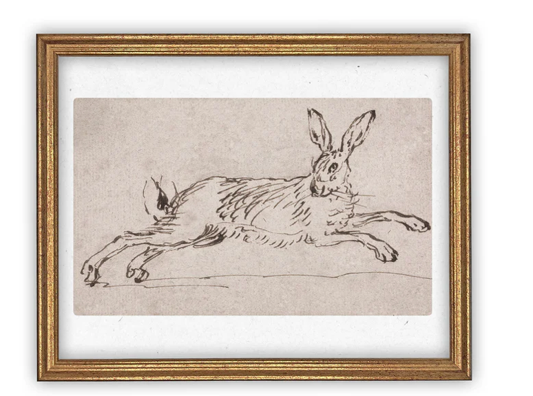 Hare Sketch Art