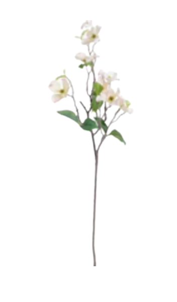 Dogwood Branch-38