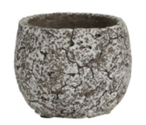 Small Cement Pot