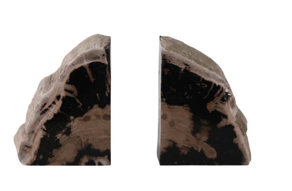 Petrified Wood Bookends