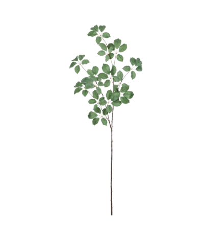 Leaf Spray