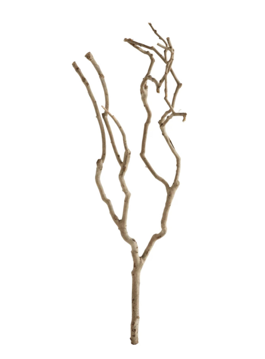 Natural Tea Tree Branches