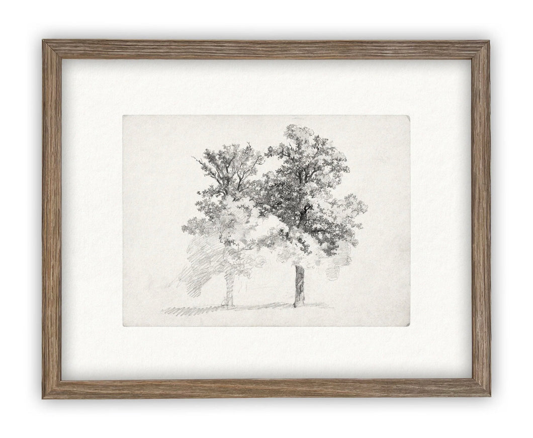 Vintage Framed Tree Sketch-Large w/Black Frame