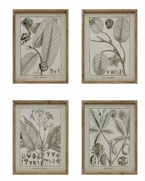 Framed Botanical Art-4 Styles