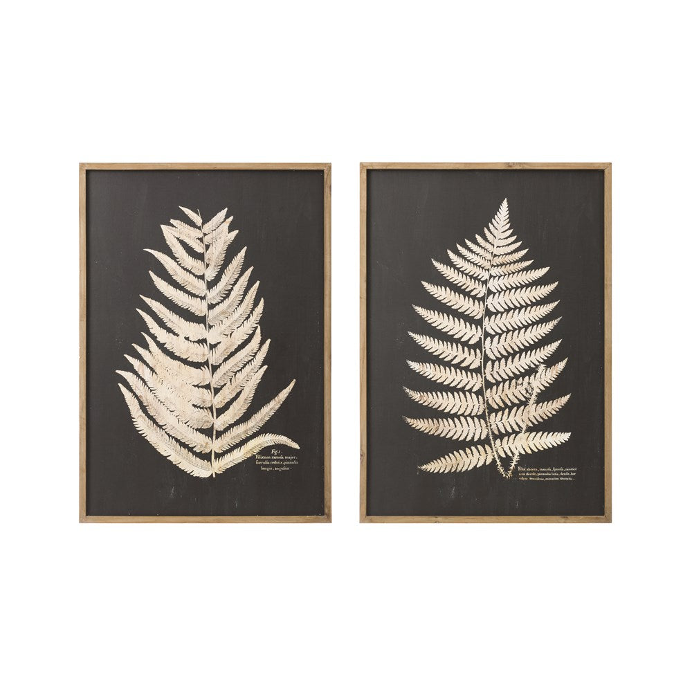 Wood Framed Fern Art-Sold Separately